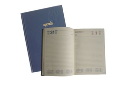 Agenda Diaria 2015 A5 (15cmX21cm) Azul