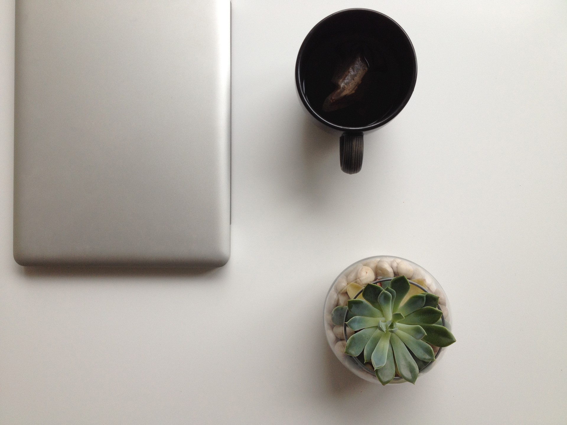 500px-Prime-85409619-201706231452048500